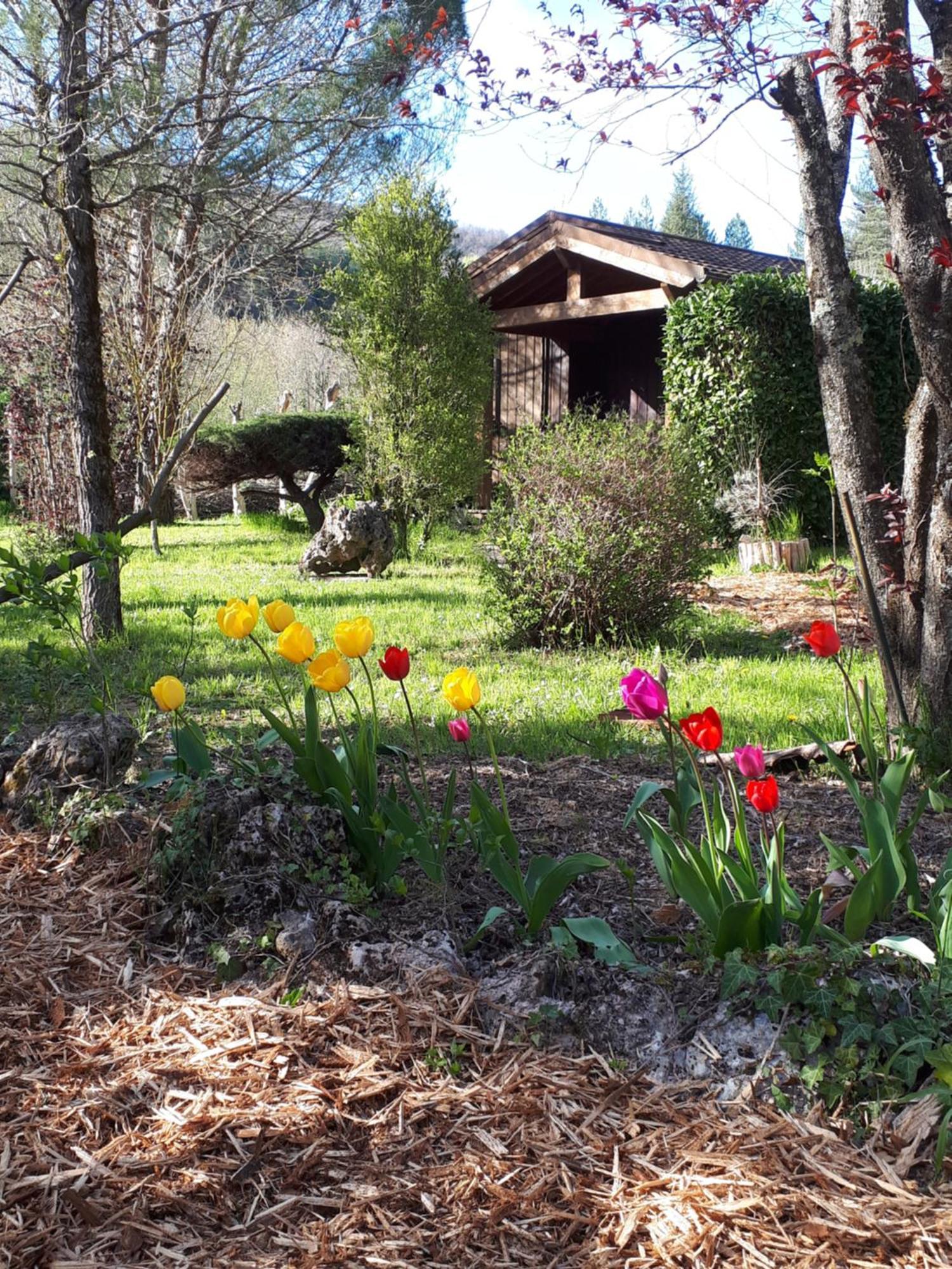 Les Chalets Du Roc Alzon Екстериор снимка